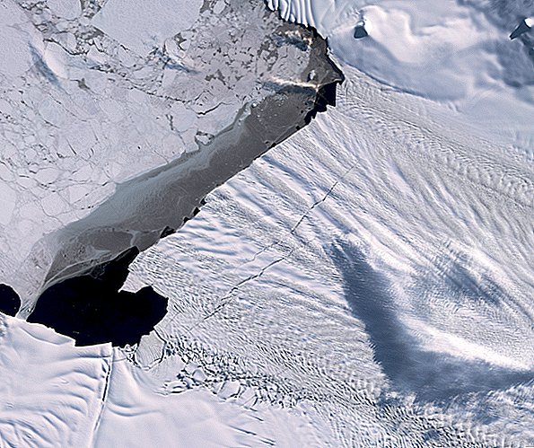 Uno de los glaciares de contracción más rápida de la Antártida acaba de perder un iceberg dos veces el tamaño de Washington, D.C.