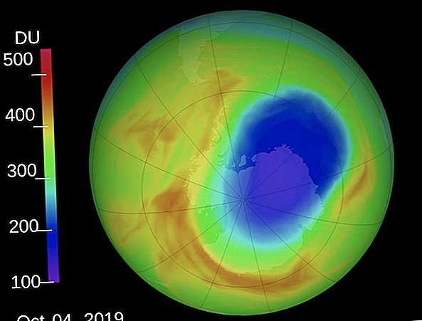 Ozongat boven Antarctica krimpt tot recordformaat