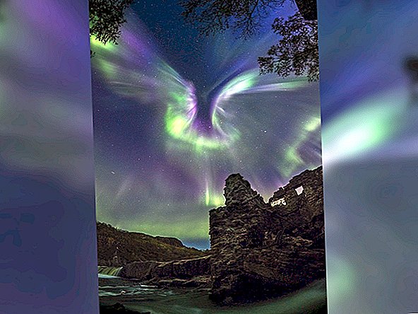 „Phoenix“ Aurora skleidžia „sparnus“ virš apleistos karinės elektrinės Rusijoje