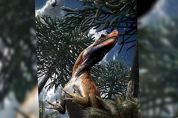写真：イタリアアルプスで発見された肉食恐竜