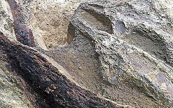 صور: مقبرة العصر الطباشيري تحمل لقطة عن تأثير دينو قتل الكويكب