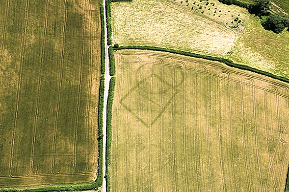 Photos: Cropmarks révèle des traces de civilisations perdues en Angleterre