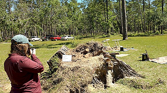 Фотографије: Ураган Мицхаел срушен над дрвећем и заштићеним артефактима 19. века