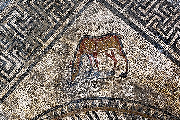 Fotos: Verlorene römische Mosaike aus Südfrankreich