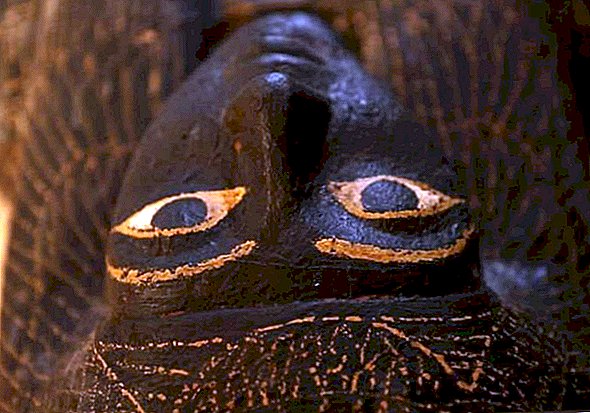 Фотографије: Мумије откривене у гробницама у древном египатском граду