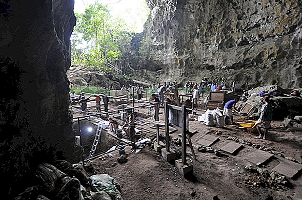 Photos: un ancien parent humain découvert aux Philippines