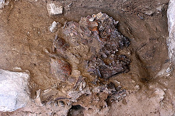 写真：洞窟で発見された70,000歳のネアンデルタール人の押しつぶされた頭蓋骨