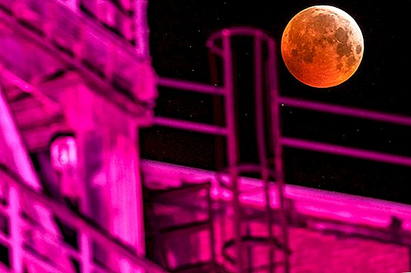 Фотографії: Супер криваве затьмарення Вовчого Місяця приголомшує глядачів
