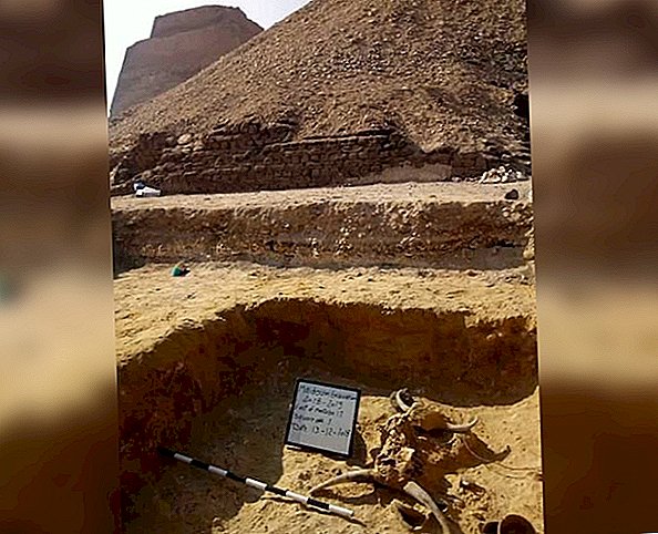 Fotos: Esqueleto de adolescente enterrado ao lado da pirâmide no Egito