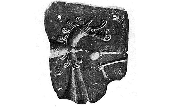 Фотографије: Викинзи приложени ситним металним змајевима