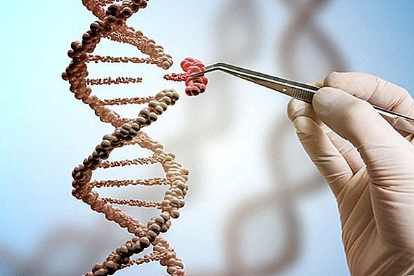Transplantasi Babi-ke-Manusia: Penyuntingan Gen CRISPR Dapat Memungkinkan Ini