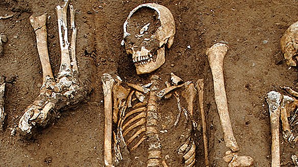 Les victimes de la peste dans une fosse commune médiévale ont été organisées avec soin par le clergé de l'hôpital de la `` dernière chance ''