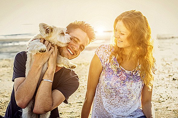 Welpenliebe! Wie Tierbabys Ihrer Ehe helfen könnten