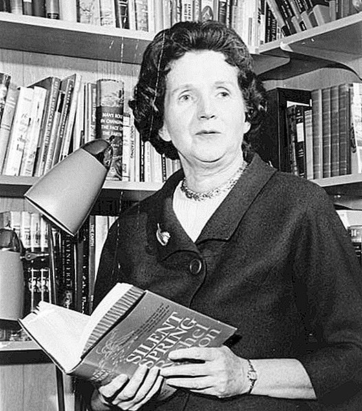 Rachel Carson: Vida, Descobertas e Legado