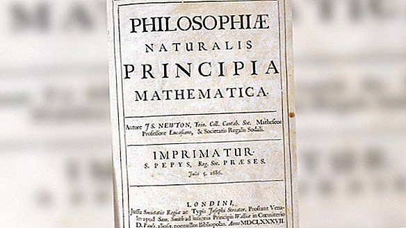 Primeira edição rara do livro inovador de Isaac Newton encontrado na Córsega