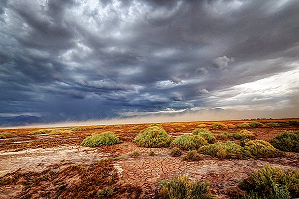 Ploile rare în Atacama sunt mortale pentru locuitorii săi mai tineri