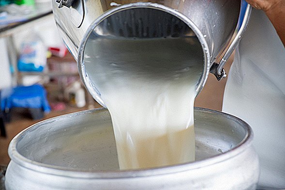الحليب الخام الملوث بالبكتيريا في 4 دول ، يحذر مركز السيطرة على الأمراض