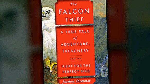 Lees een fragment uit 'The Falcon Thief'