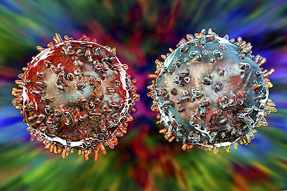 Rogue 'Immune Cell X' Tamamen Yeni Bir Hücre Tipidir. Tip 1 Diyabeti Tetikleyebilir.