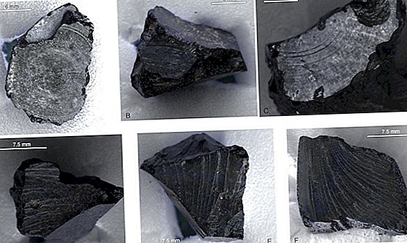L'inhumation d'un navire royal du VIIe siècle contient une substance rare de goudron