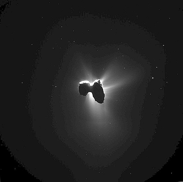 「ラバーダッキー」彗星はストレスを受けて首を割り続けます