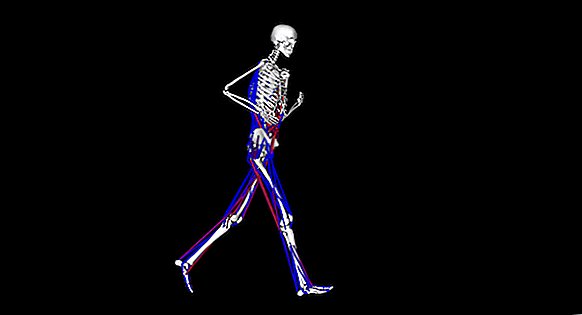 Bolesť chrbta bežcov začína hlboko, ukazujú sa 3D modely