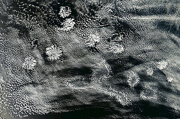 Satelliet bespioneert gigantische 'fuzzball'-wolken die zich verspreiden langs de kust van Australië