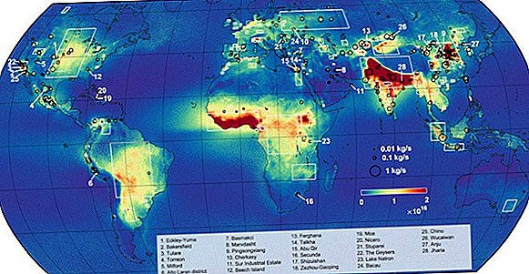 Skræmmende kort viser, hvor dyrehoppe forvandles til dødbringende ammoniakforurening