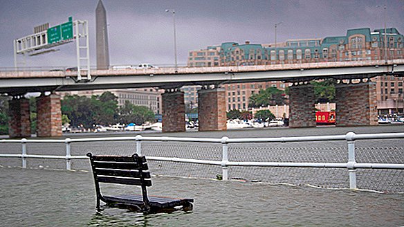 วิทยาศาสตร์เบื้องหลัง 'Flash Flood Emergency' ที่น่ากลัวของวอชิงตัน