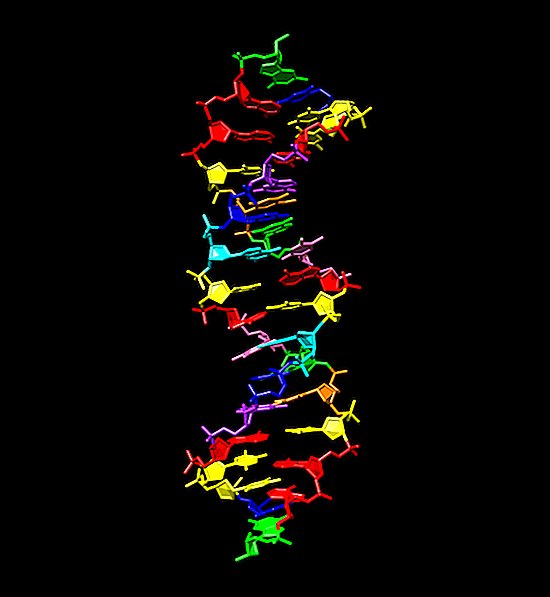 Tutkijat ovat luoneet synteettisen DNA: n 4 ylimääräisellä kirjeellä