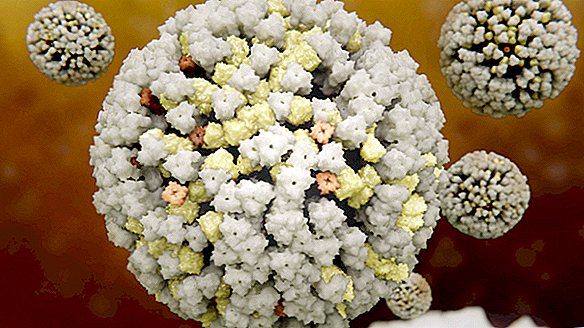 Wetenschappers staan ​​misschien 'aan de vooravond' van een universeel griepvaccin