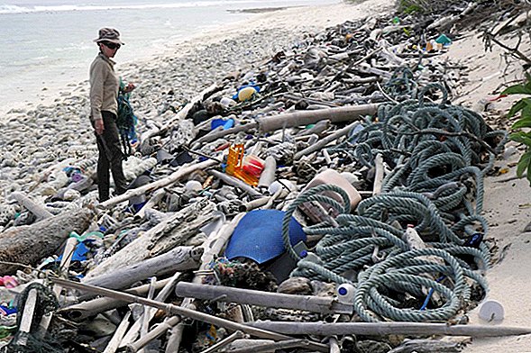 Учените отидоха в един от най-отдалечените острови в света. Те намериха 414 милиона парчета пластмаса