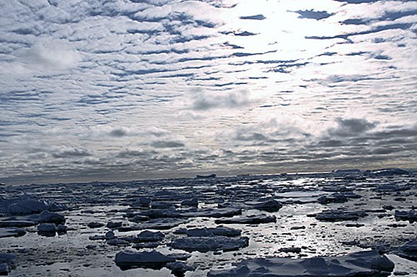 L'épave de l'Antarctique de Shackleton fait demi-tour pour éviter un piège mortel à glace