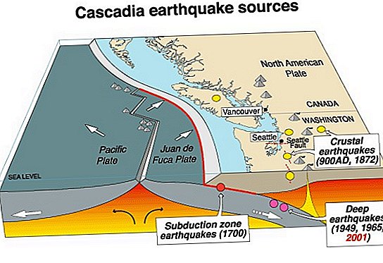 ترتبط الزلازل الصامتة بالتغيرات في السوائل بعمق تحت خطأ كاسكاديا