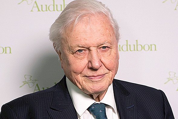 Sir David Attenborough Memprediksi 'Runtuhnya Peradaban' di KTT Iklim PBB