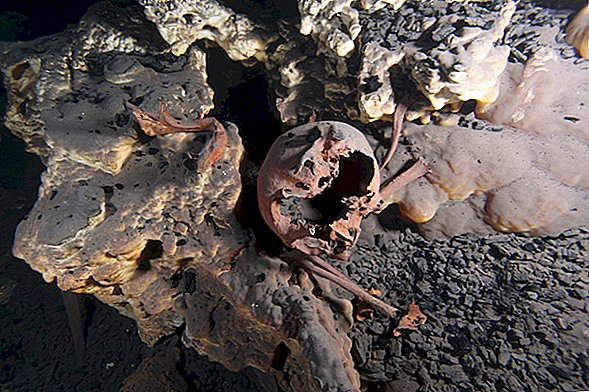 Los cráneos de los antiguos norteamericanos insinúan múltiples olas de migración