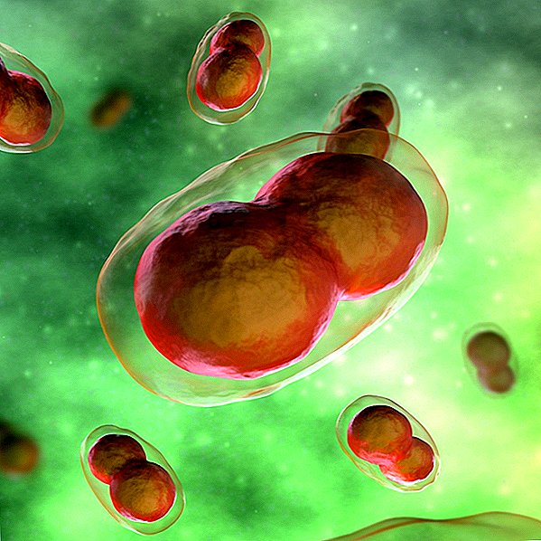 Les virus liés à la variole représentent toujours une menace pour les humains, avertissent les experts