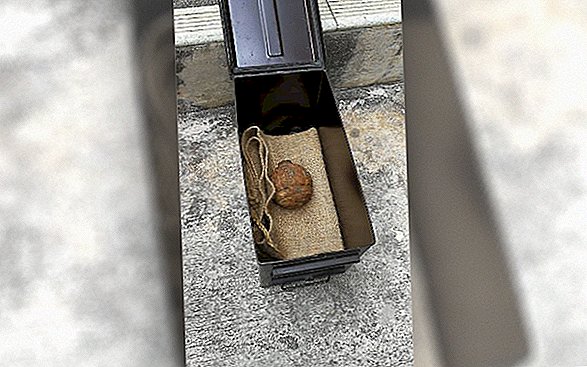 Attaque de snack! Chip Factory trouve une grenade de la Première Guerre mondiale emballée dans des pommes de terre