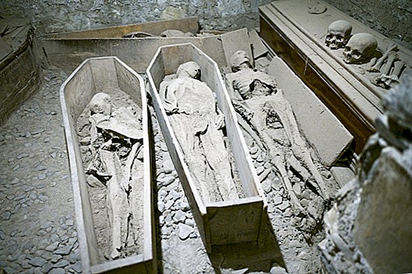 Alguien decapitó a una momia 'cruzada' en Irlanda y salió corriendo con la cabeza