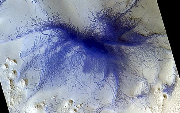 Kosmosa orbitera plankumi 'Matains zils zirneklis' uz Marsa
