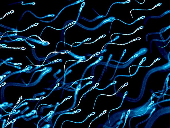 Lo sperma può sopravvivere alla microgravità, ma non aspettarti presto nessuno spazio per bambini