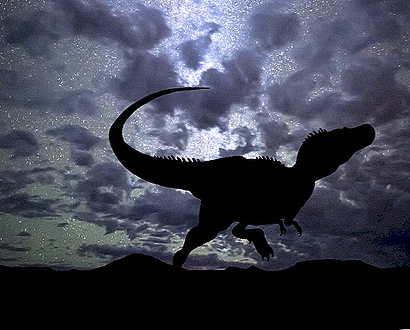 Stargazing T. Rex يحصل على منظر عمره 67 مليون سنة لسماء الليل