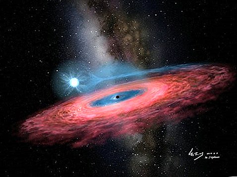 Stellar Black Hole is zo enorm dat het niet mag bestaan