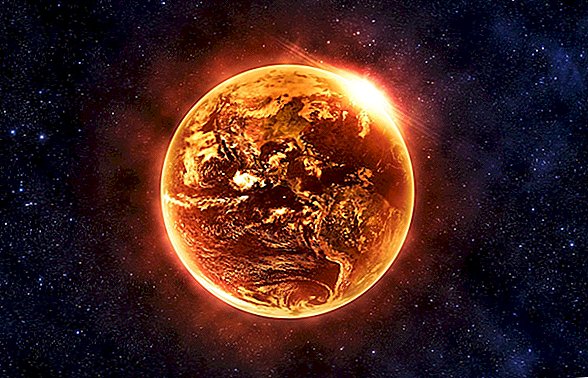 Stephen Hawking: Die Erde könnte sich wie die Venus in einen Treibhausplaneten verwandeln