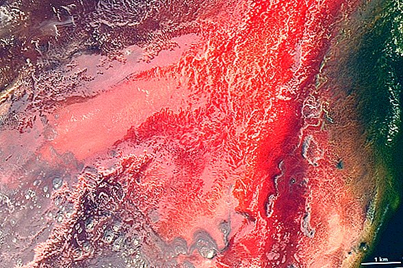 Lago 'Animal de piedra' visto desde el espacio en toda su gloria carmesí