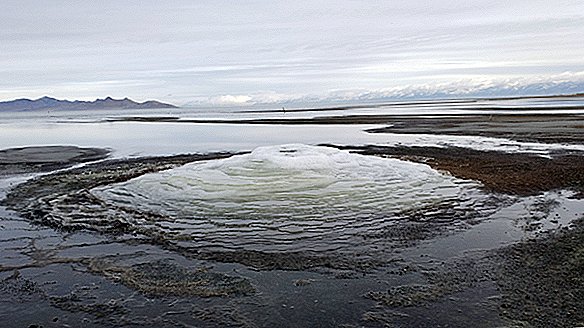 תלולית מינרלים מוזרים 'מאדים' עולים מאגם המלח הגדול של יוטה