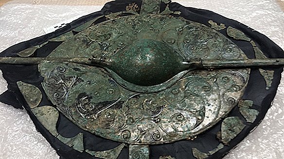 قبر المحارب المذهل - كامل مع عربة الخيول - تم الكشف عنه في إنجلترا