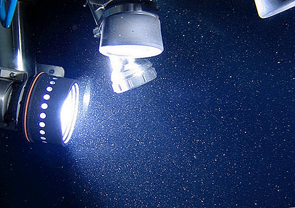 Le "valanghe sottomarine" stanno seppellendo le microplastiche nelle profondità dell'oceano