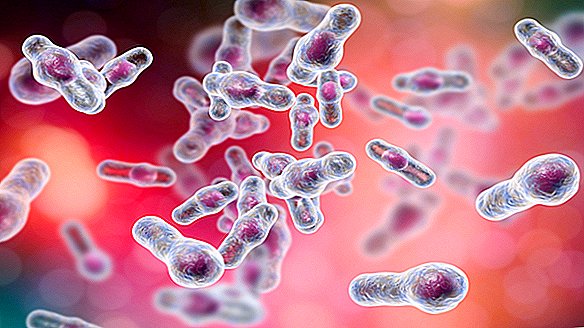 Les régimes sucrés occidentaux alimentent un nouveau Superbug en évolution