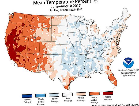 Musim panas di Amerika Syarikat Adalah Panas dan Wetter Than Average